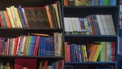 Зюганов предложил издать 100 томов классики и отправить в библиотеки