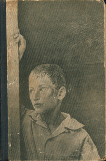Обложка книги Сэлинджера. Молодая гвардия, 1965. Цена 87 коп. Тираж 115 000