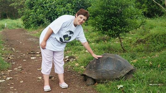 гигантские черепахи Галапагос