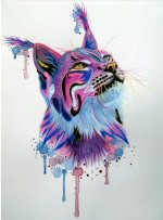 Colored Lynx
