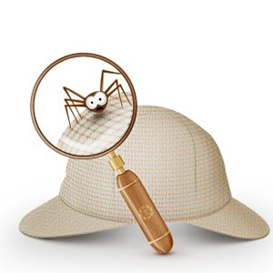 Шляпа и лупа от Шерлока