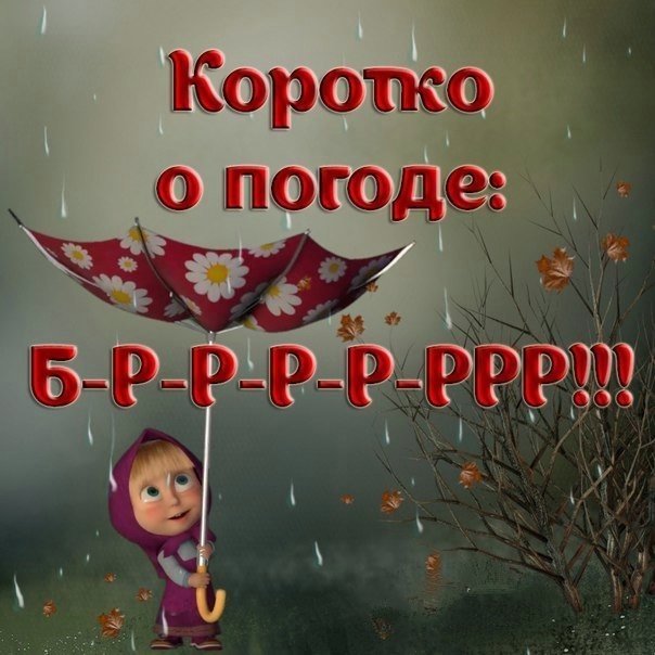 Доброе утро в плохую погоду картинки прикольные