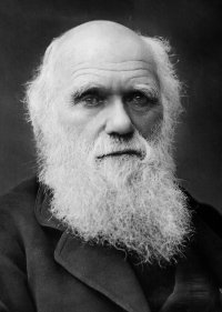 Неизвестный вернул библиотеке пропавшие записные книжки Чарльза Дарвина