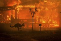 Австралийские писатели запустили кампанию в поддержку пожарных