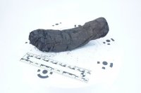 Исследователи с помощью ИИ пытаются узнать, что написано в сожженном Везувием древнем свитке