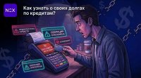 Финансовая безопасность: выявление скрытых кредитных обязательств через автоматизированные алгоритмы NOX