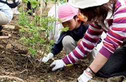 Panasonic объявляет конкурс детских экологических проектов.