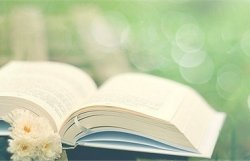 Украинские дизайнеры проведут показ моды для книг