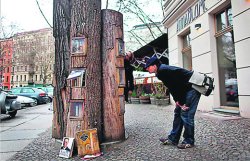 Горожане построили уличную библиотеку из старых деревьев