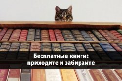10 мест в Петербурге, где можно получить бесплатные книги