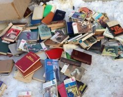 Благовещенцы переселили мировых классиков литературы на помойку