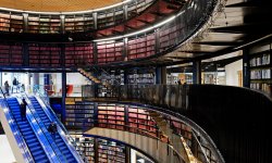 25 млн книг пропали без вести из библиотек Великобритании