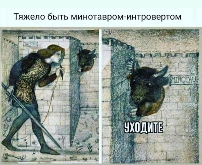 Мем про ветку
