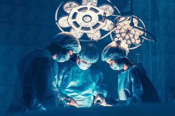 Молодые гуманисты: книги о начинающих и юных медиках