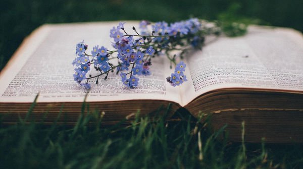 Новинки месяца: чудеса в глубокой старости, разочарования в американской мечте и страшные пионерские истории