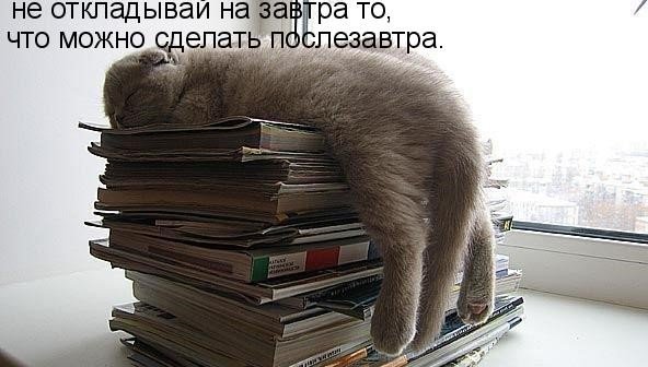 Самое сложное в книжных играх - писать отчеты