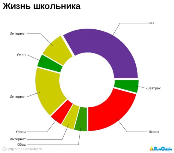 Диаграмма жизни человека