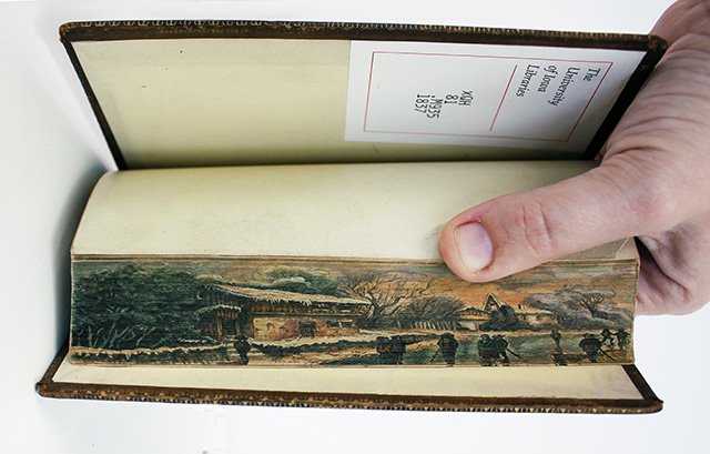 Обнаружили спрятанные рисунки на страницах книг 19 века