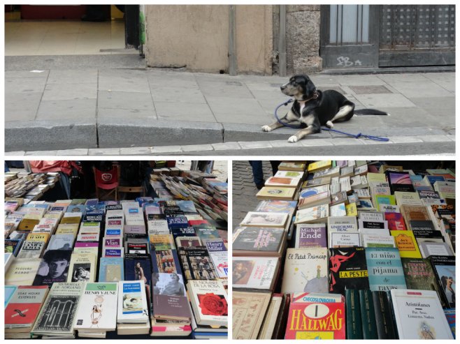 барселона: собаки, книги и странные памятники