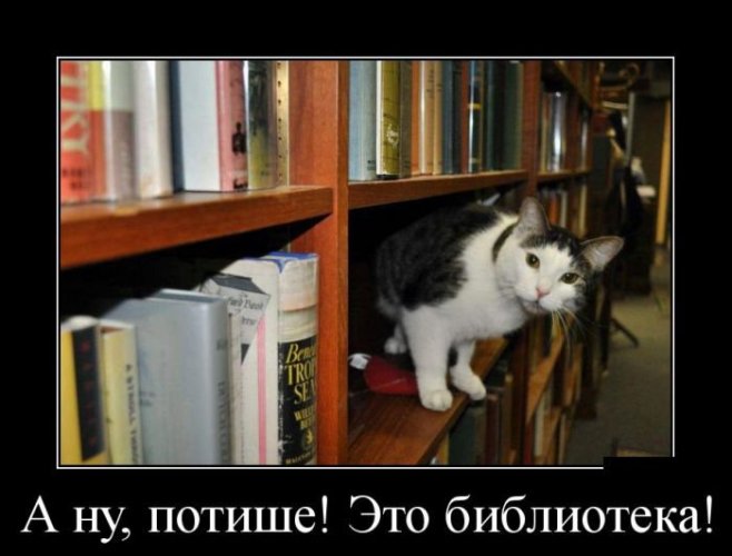 А тем временем в библиотеке...