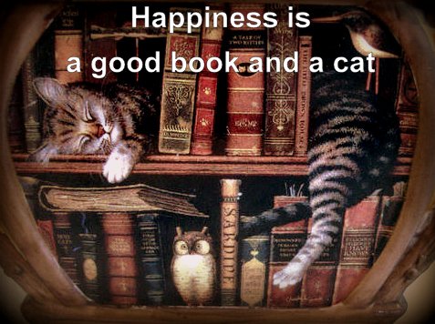 Коты и книги!)))