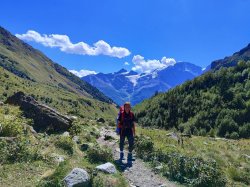 Iriskis