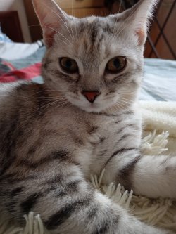 Margo0202