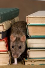 Book-rat